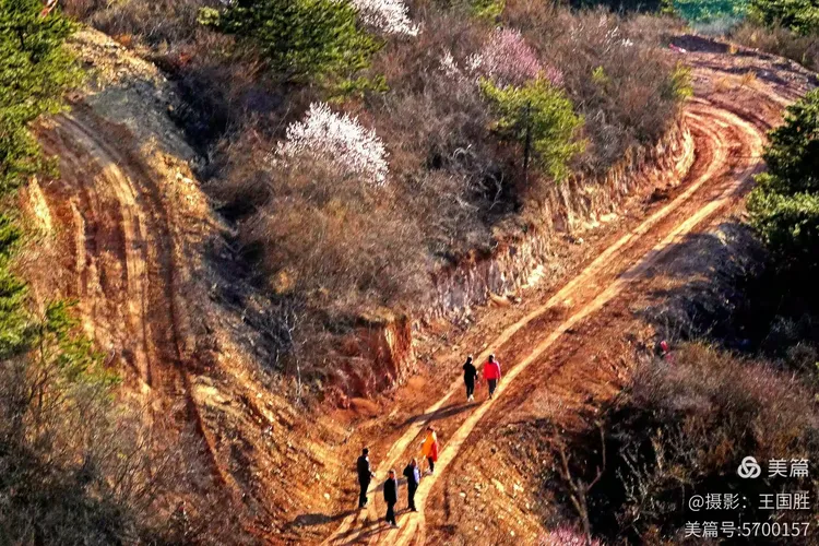 琴山赏春——三月踏青何处佳?琴山顶上看桃花。